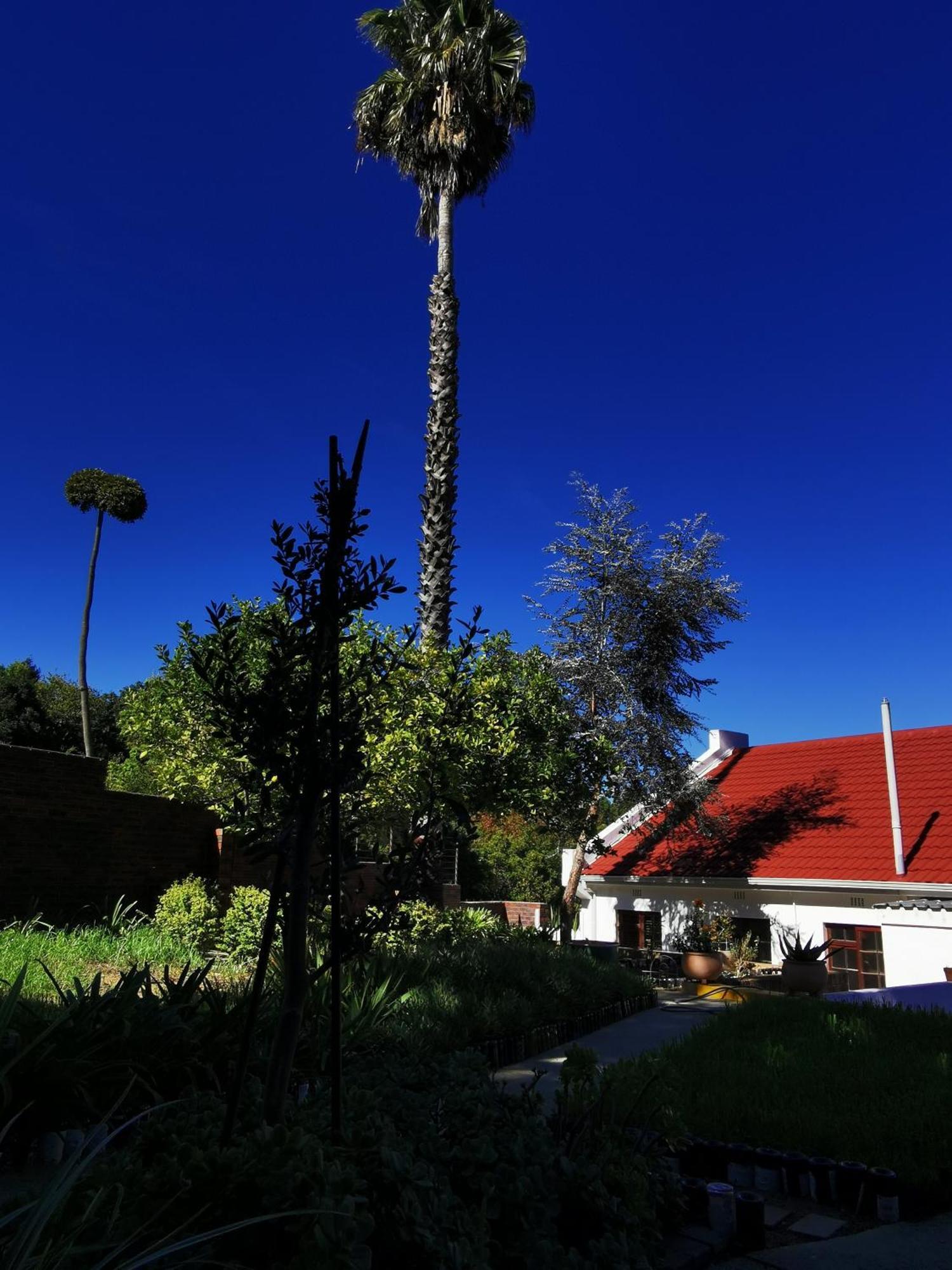 סומרסט ווסט Somerset Grace Cottage מראה חיצוני תמונה